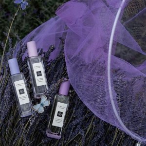 逆天价：祖马龙薰衣草花园系列终于上线法国 粉紫系英式神仙颜值