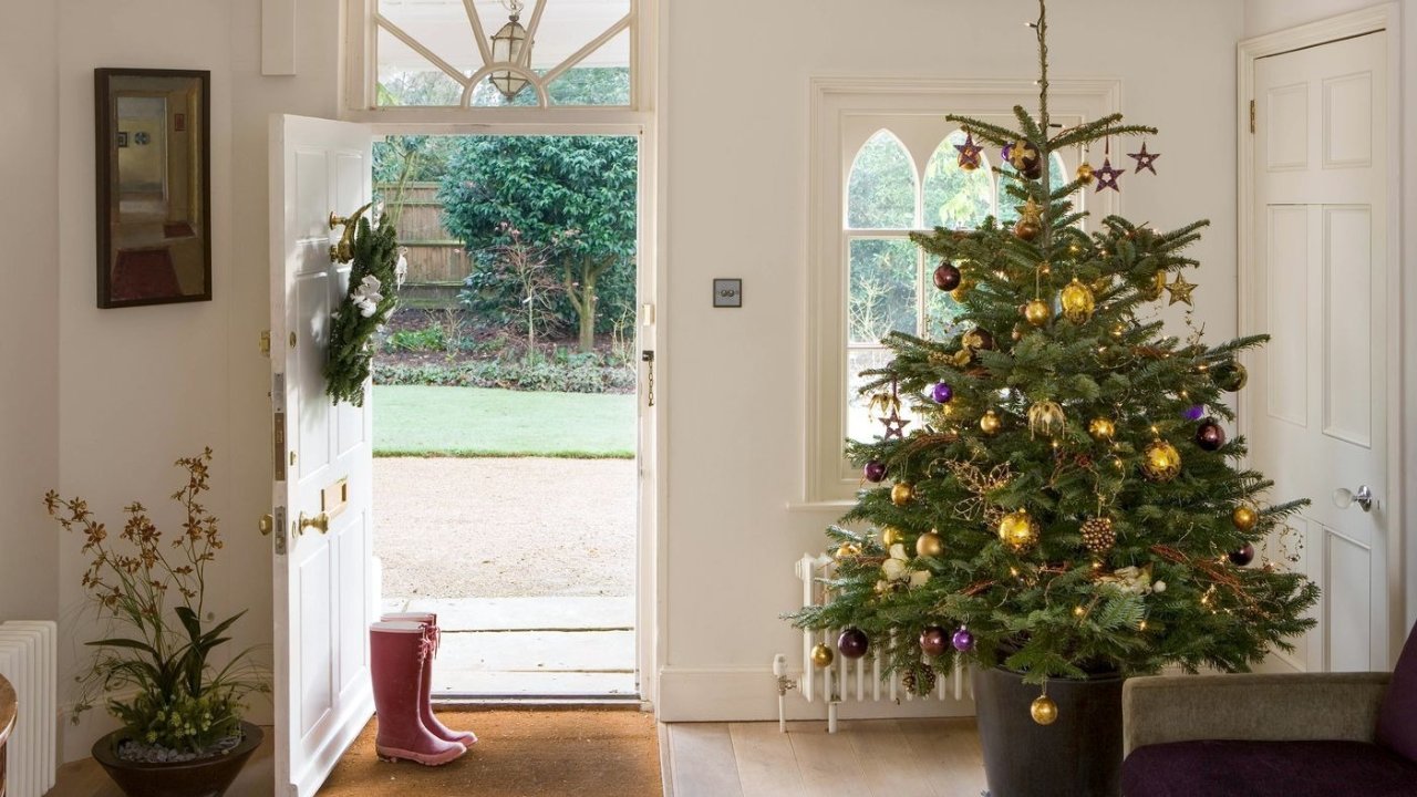 在德国购买圣诞树指南 - 真树还是假树？鲜切树品种有哪些？哪里买？圣诞树如何护理？
