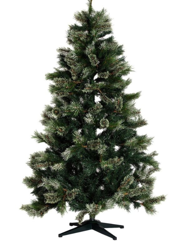 Oregon Pine Tree: 180 cm