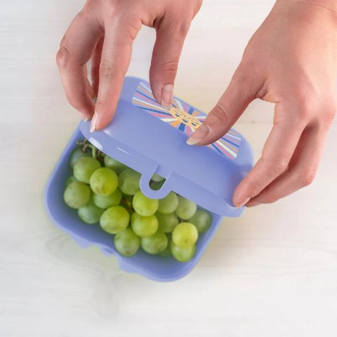 环保塑料食物储存盒