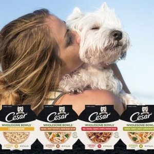薅羊毛：CESAR 免费湿狗粮2盒 营养均衡易消化 养狗家庭薅起