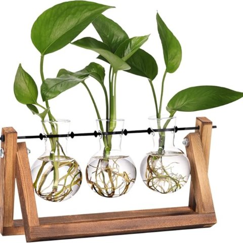 XXXFLOWER 植物玻璃容器+木架! 生活仪式感拉满