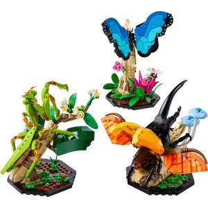 Lego9月新品昆虫系列 21342 | IDEAS
