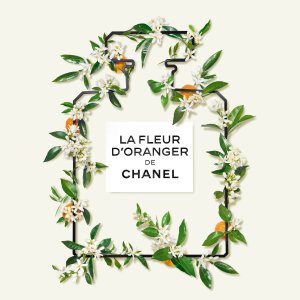 Chanel X  Jardin des Tuileries 杜乐丽花园的香奈儿柑橘之旅