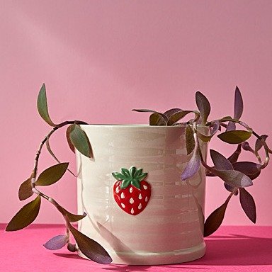 小草莓花盆