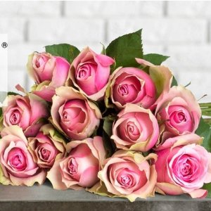 情人节好礼物：12支玫瑰的花语也是心语 三色可选