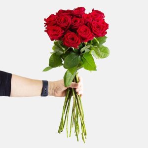 Blume Ideal 41朵红玫瑰 50cm长 可选择交货日期