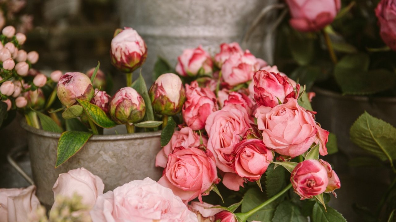 巴黎超心动的网红花店都在这里了，买些美美的花装饰家里吧！