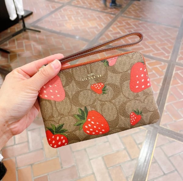 草莓小钱包 