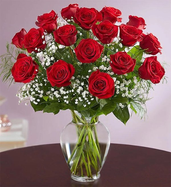 优质长茎红玫瑰 带花瓶