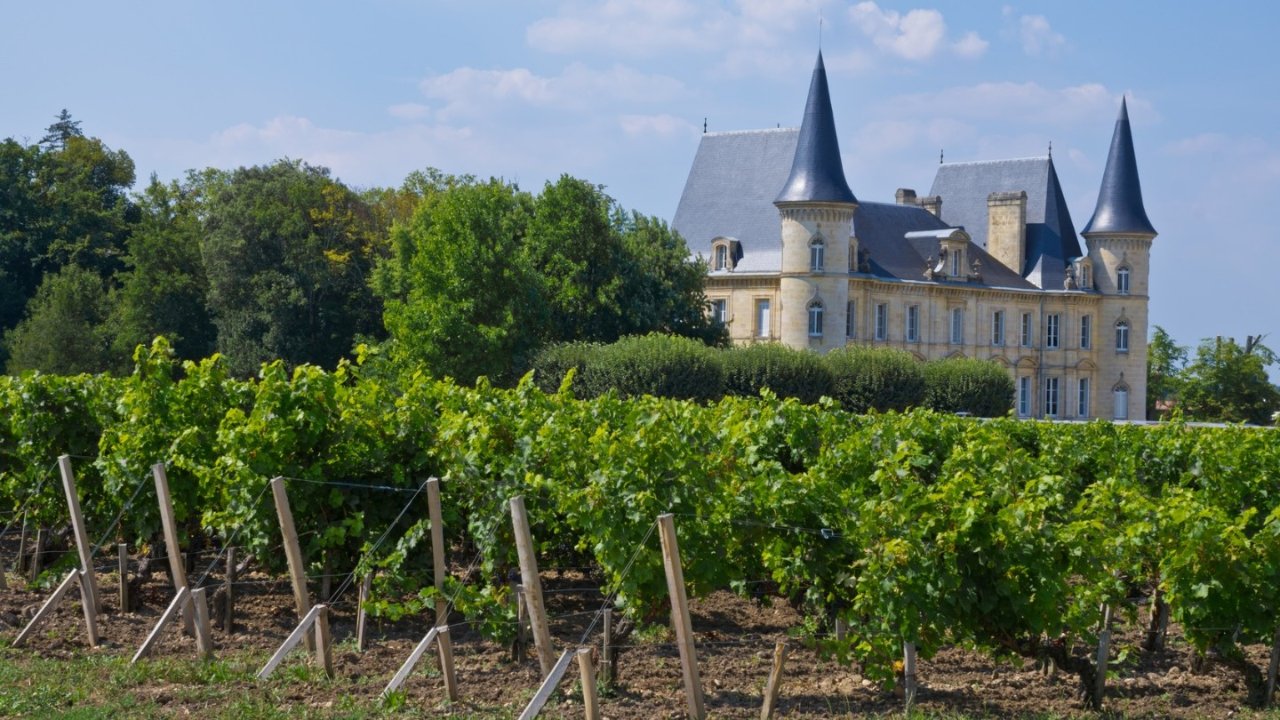 法国葡萄酒庄游览攻略 | 波尔多、勃艮第及注意事项等
