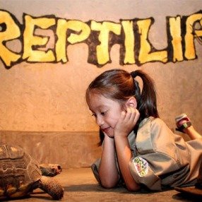 Reptilia 室内爬行动物馆