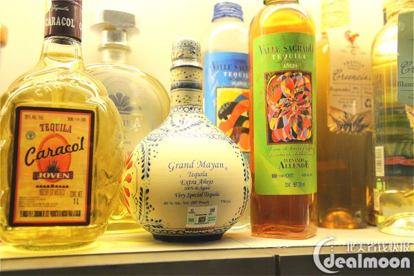 龙舌兰酒知多少,museo del tequila y mezcal博物馆了解一下