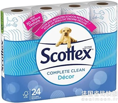 Scottex2层厚厕纸 24卷