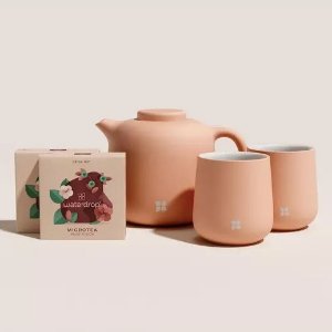 Waterdrop 水果茶+茶具套装 富含维生素的养生水果茶