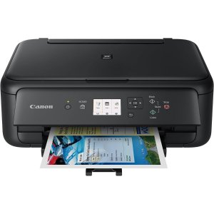 CanonPIXMA Home TS5160 打印机