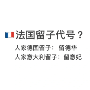 在线等 很急🛎️法国留子咱们搞个什么代号好？