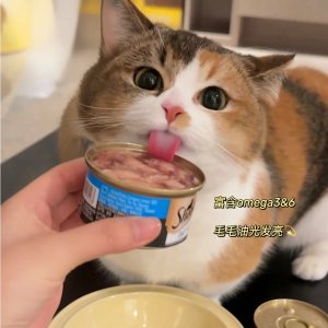 黑五价：Sheba希宝🐈️猫粮专场 €12.72收猫条40 x 85g