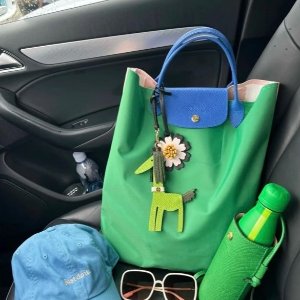 黑五价：Longchamp 珑骧专场！超火饺子包€83 多种配色