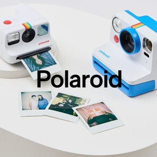 Polaroid 12月20日截止