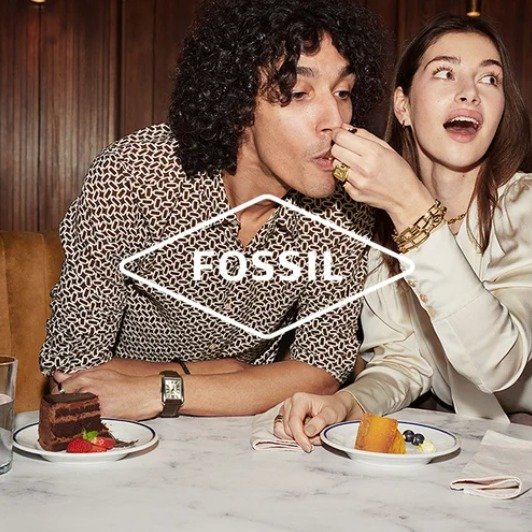 Fossil 12月22日截止