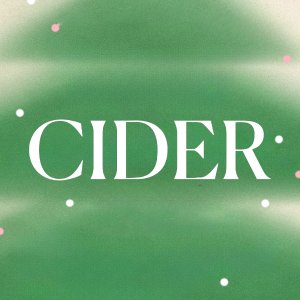 Cider 冬促开启❄️收腰羽绒服€51 围巾格纹毛衣€19