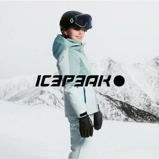 ICEPEAK 1月10日截止