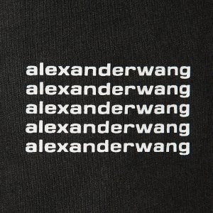 Alexander Wang 抄底清仓捡漏！满天星T恤€57