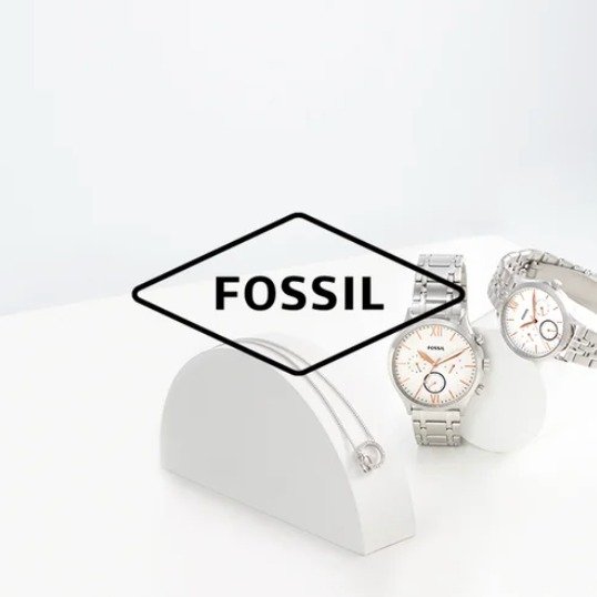 Fossil 2月6日截止