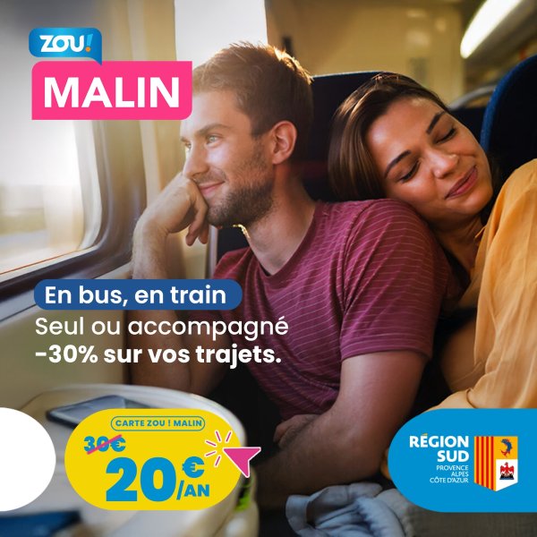 Carte ZOU! MALIN