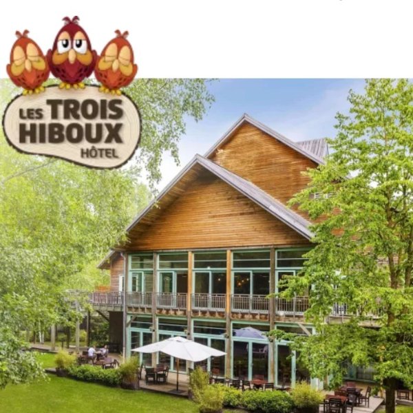 2日门票+Les Trois Hiboux酒店