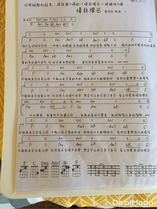 #捣鼓乐器#拒绝乏味#音乐小白如何学会弹尤克里里-北美省钱快报攻略