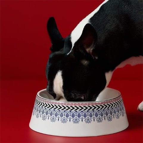 节日宠物碗