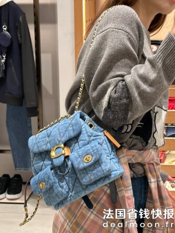 CoachTabby 双肩包