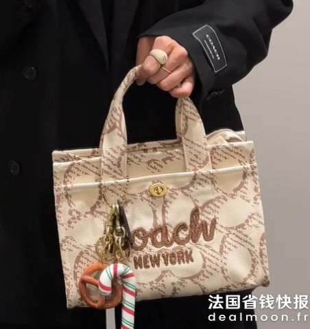 CoachCargo 托特包