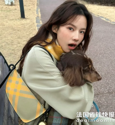 BurberryShield 单肩包