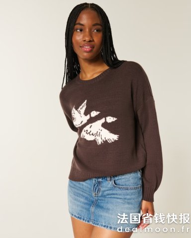 HollisterEasy Flying Birds 图案圆领卫衣