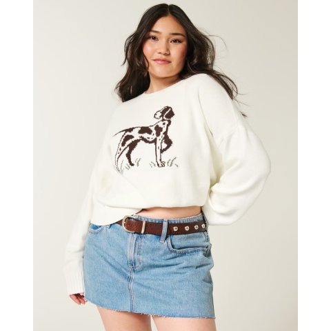 HollisterEasy Dog 头像圆领卫衣