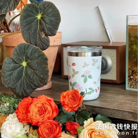 Wedgwood野草莓饮品杯