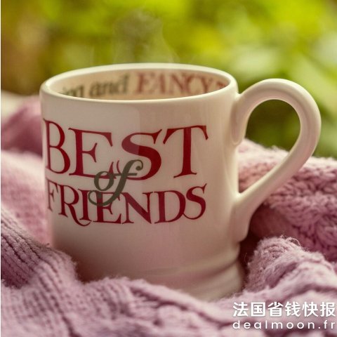 Emma BridgewaterBest Of Friends 圣诞马克杯 1/2品脱