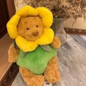 向日葵巴塞罗熊€65