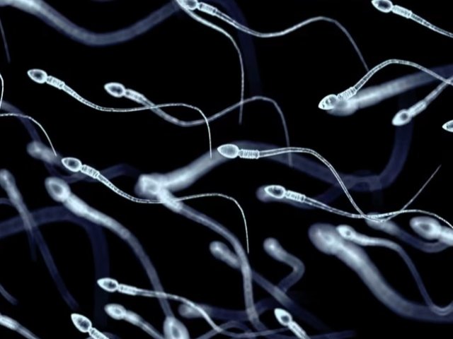 太离谱！欧洲男子捐精17年生下19...