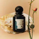 阿蒂仙好礼！送15ml自选香+新品身体乳+沐浴露