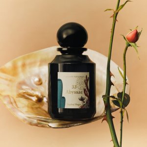 送神秘深渊/布列塔尼等！