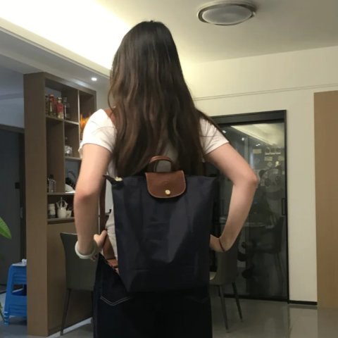 Le Pliage 女士双肩包