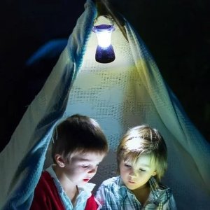 🥬白菜价🥬：Ozark Trail LED露营小挂灯/应急灯 电池供电