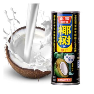 椰树 椰汁 245ml