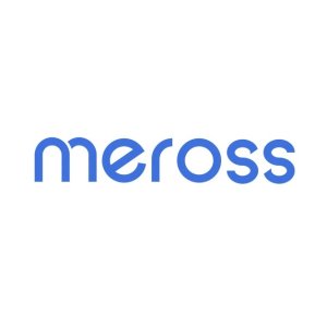 meross 智能家居 支持原生HomeKit协议，Alexa语音控制