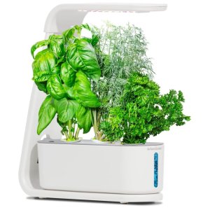 黑五价：AeroGarden 室内水培种植箱 送罗勒、欧芹、莳萝种子