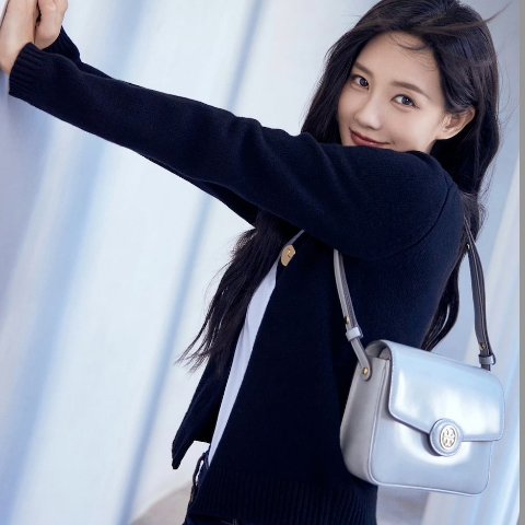 Tory BurchROBINSON SPAZZOLATO Shoulder Bag